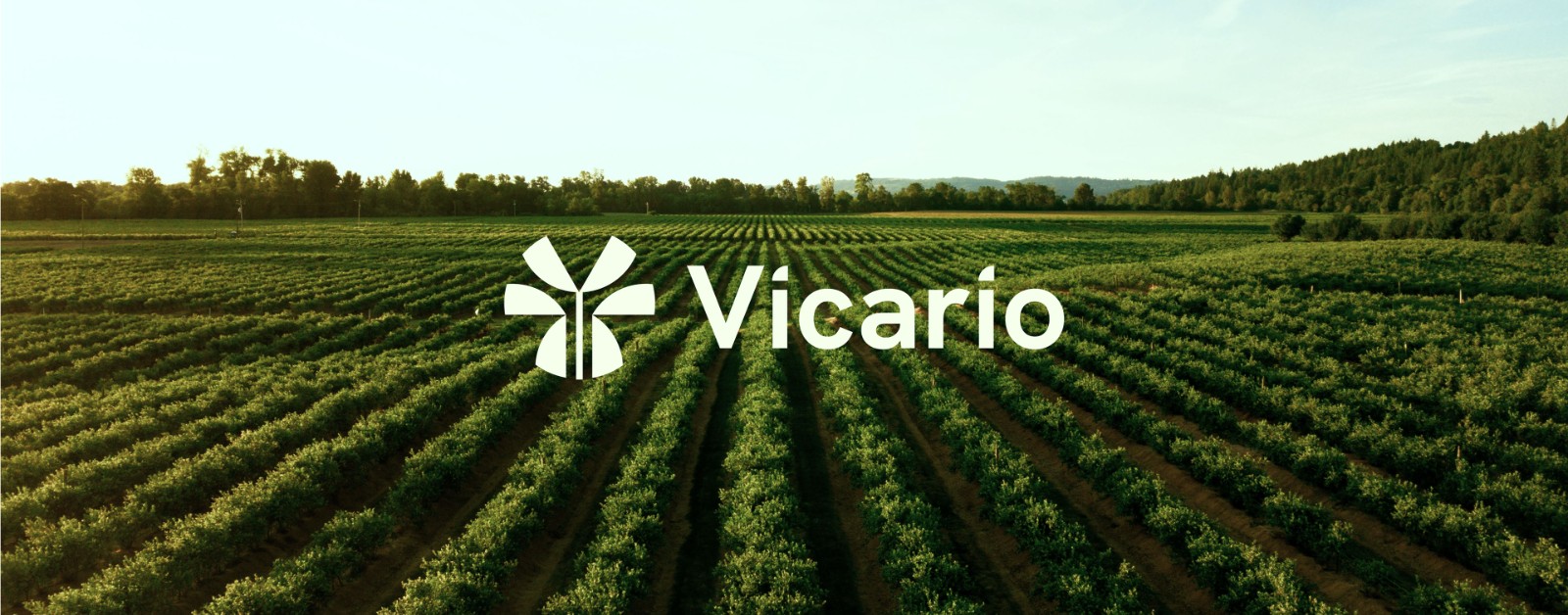 1725008155155505.jpg 8.30 (1).jpg