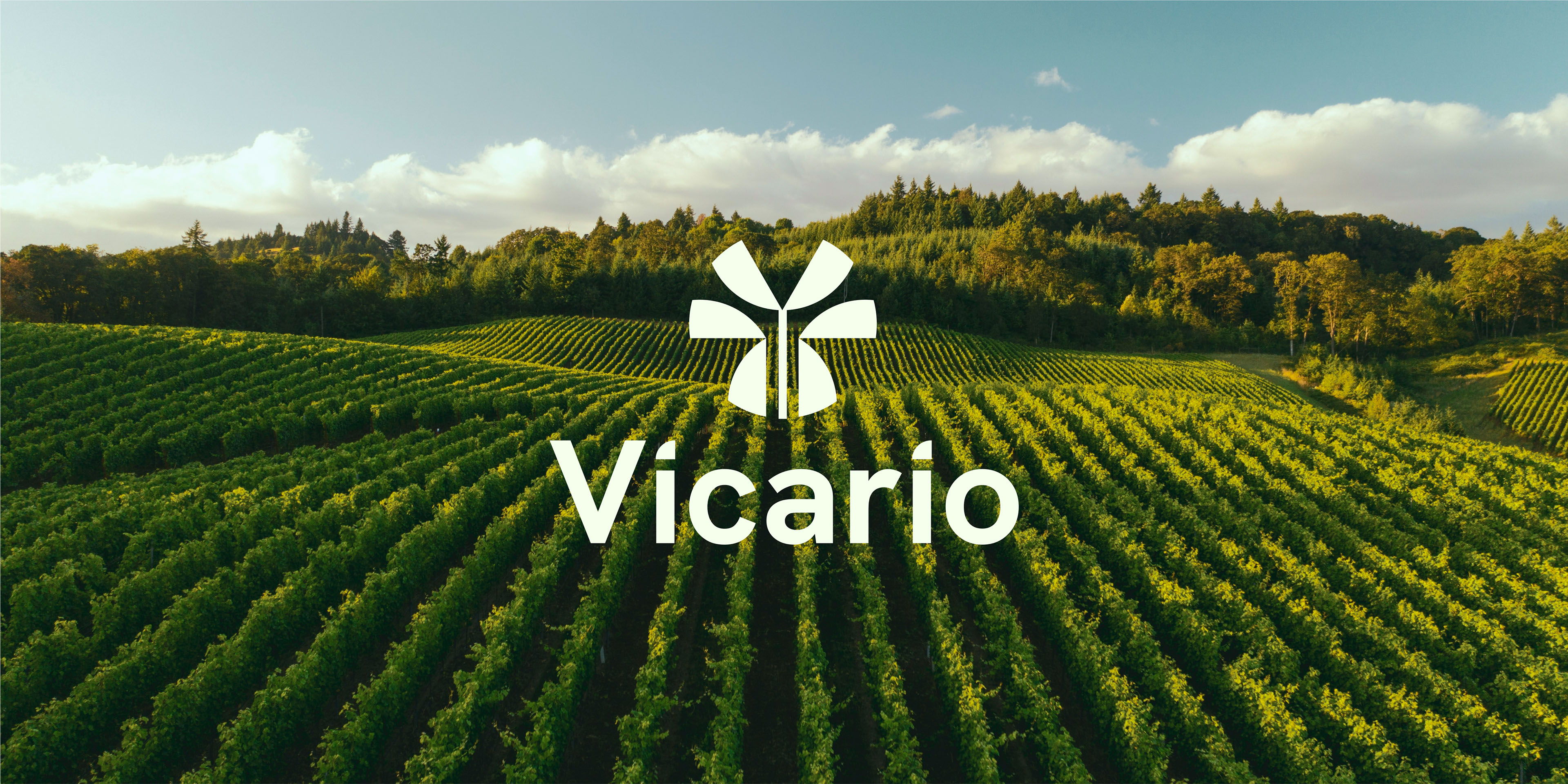 1725008210241312.jpg 8.30 (10).jpg