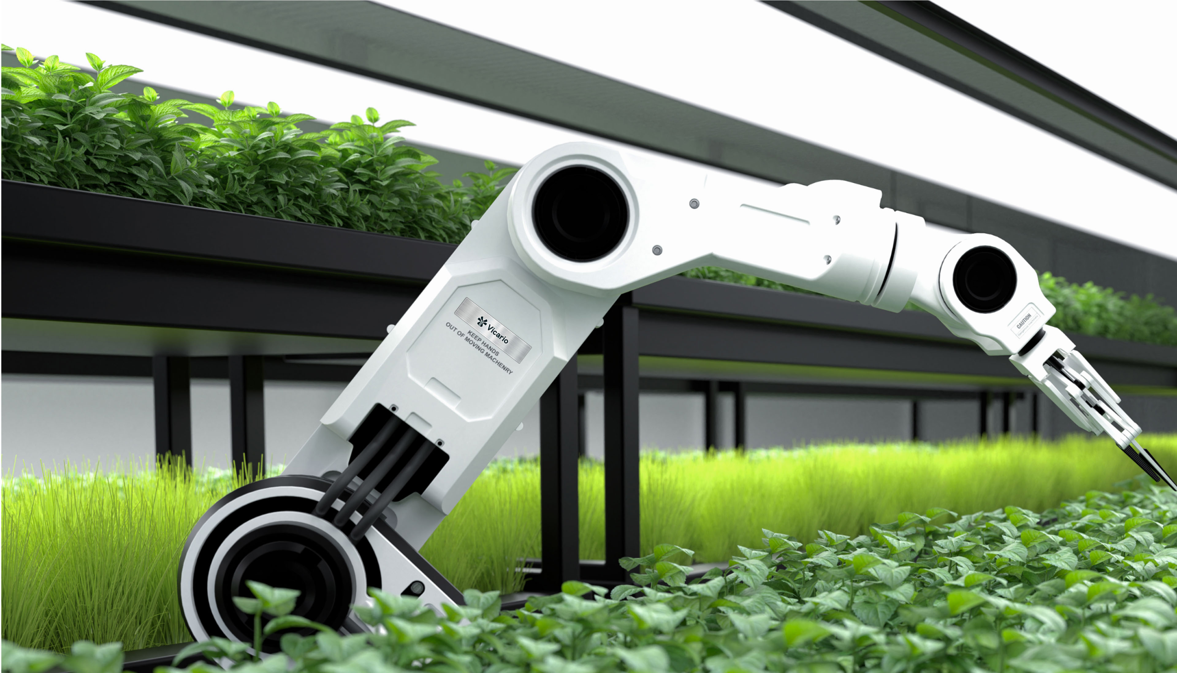 1725008250633819.jpg 8.30 (17).jpg